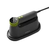 Iron